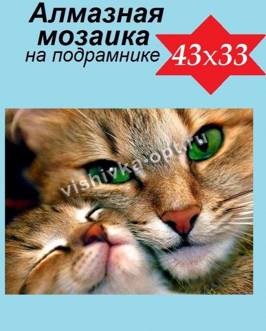 Набор со стразами на подрамнике "Кошка с котенком" 33х43см