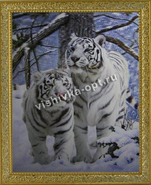 Картина 5D «Белые тигры» 28*38см (1шт) цвет:12600