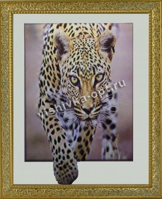 Картина 5D «Леопард» 38*38см (1шт) цвет:12489