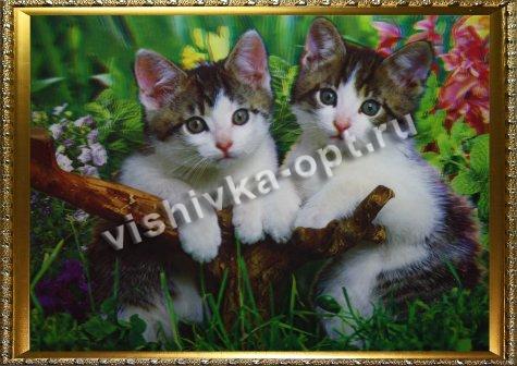 Картина 5D «Котята» 38*28см (1шт) цвет:14105
