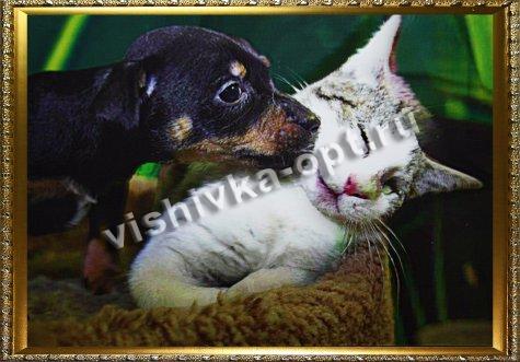 Картина 5D «Котенок и щенок» 38*28см (1шт) цвет:14119