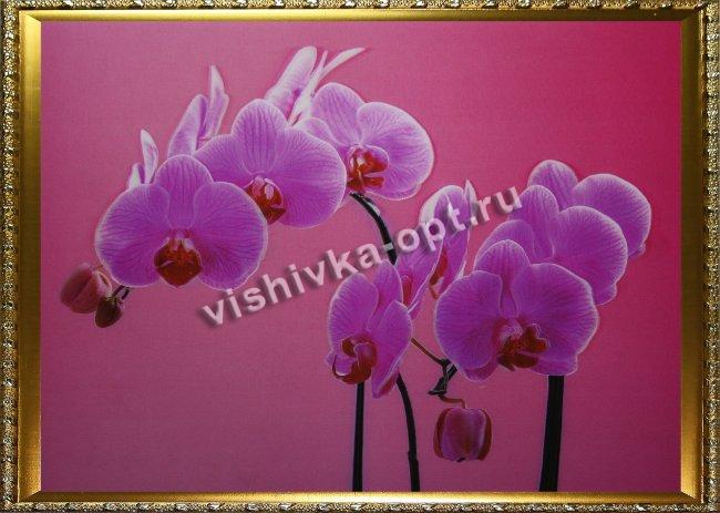 Картина 5D «Орхидеи» 38*28см (1шт) цвет:14192