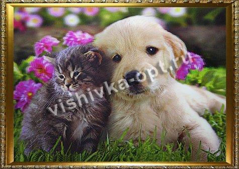 Картина 5D «Щенок и котенок» 38*28см (1шт) цвет:14196