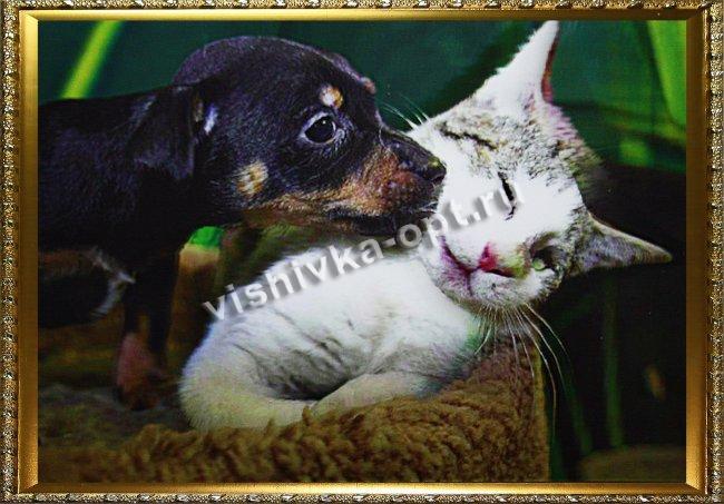 Картина 5D  «Котенок и щенок» (без рамки)  38*28см (1шт) цвет:14119Б