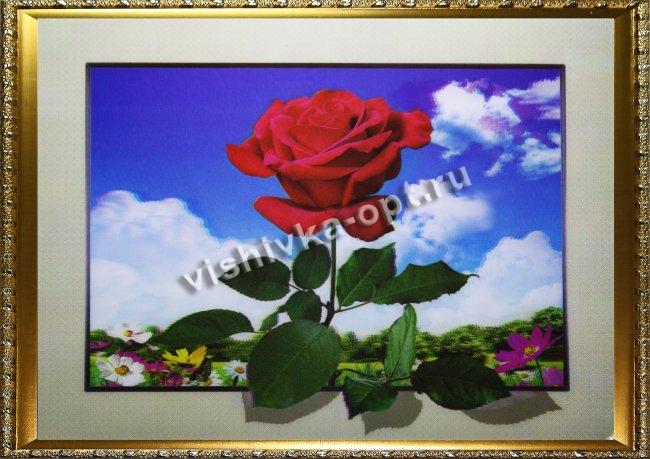 Картина 5D «Красная роза» (без рамки) 38*28см (1шт) цвет:14124Б
