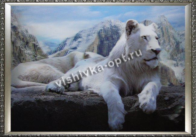Картина 5D «Белый лев» (без рамки) 38*28см (1шт) цвет:14166Б