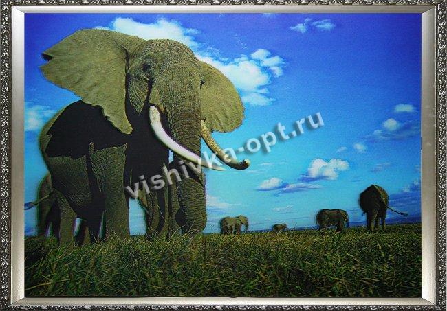 Картина 5D «Слоны» (без рамки) 38*28см (1шт) цвет:14174Б