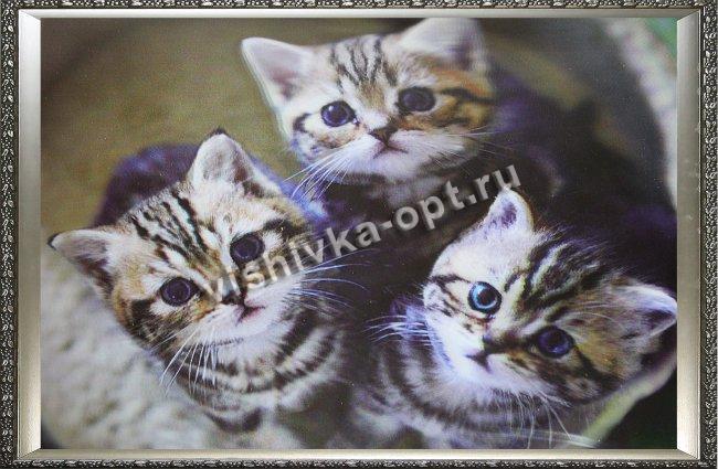 Картина 5D «Три котенка» (без рамки) 38*28см (1шт) цвет:14193Б