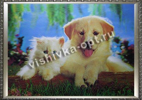 Картина 5D «Котенок и щенок»  (без рамки) 38*28см (1шт) цвет:14202Б