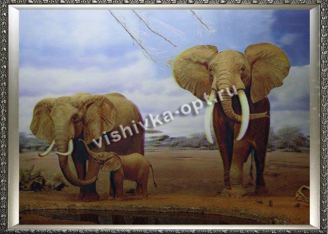 Картина 5D «Слоны»  (без рамки) 38*28см (1шт) цвет:14270Б