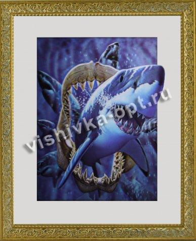 Картина 5D «Акула» 28*38см (1шт) цвет:12565